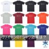 ファイテンのTシャツ効果は？