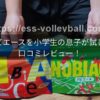 ノビエースを小学生の息子が試した口コミレビュー！