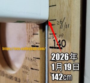 2026年1月19日(ノビエース6ヶ月目)142cm(＋5cm)